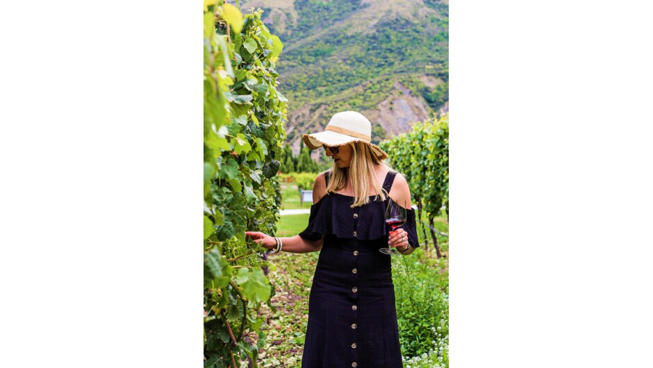 Exploring the vines on the Classic Wine Tour