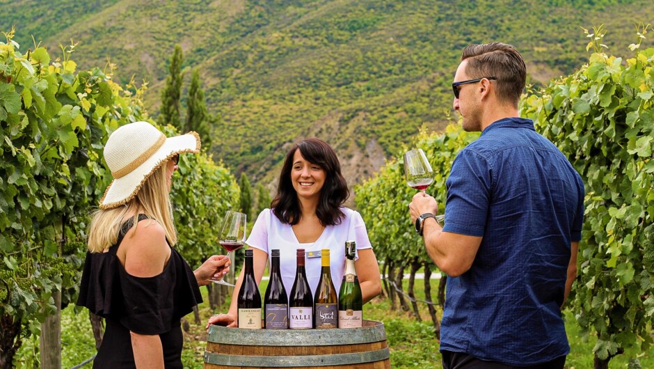 Personalised Wine Tasting on the Private Classic Wine Tour
