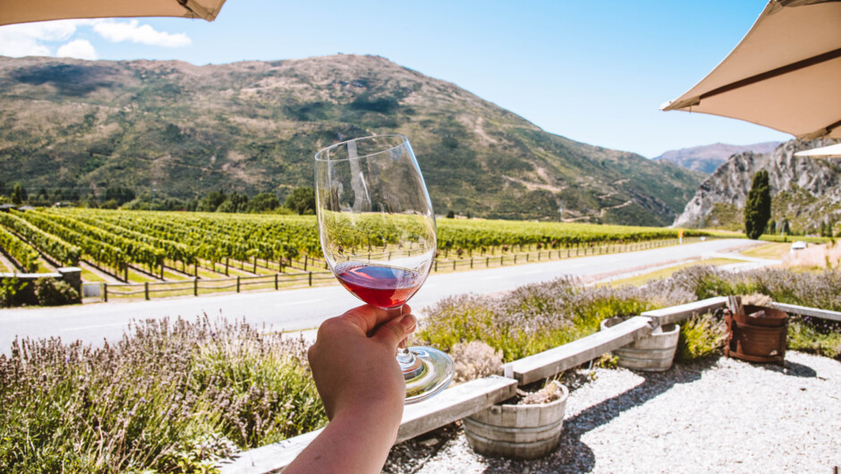 Enjoy tastings with views across the vines