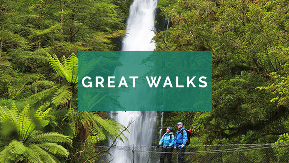 The New Zealand Great Walk Adventure