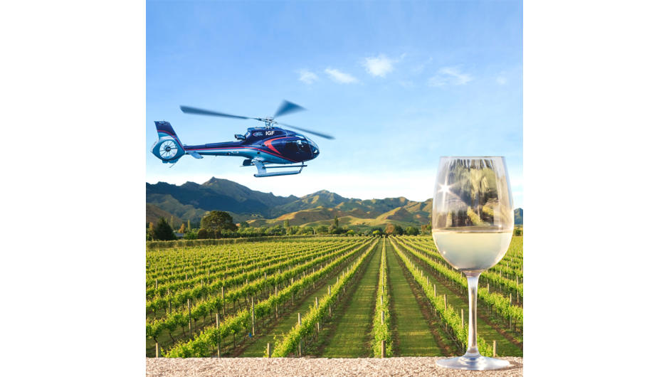 Between the vines - Charter options available to the Marlborough wine region.