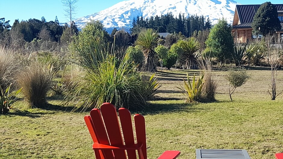 Enjoy Mt Ruapehu view from native gardens