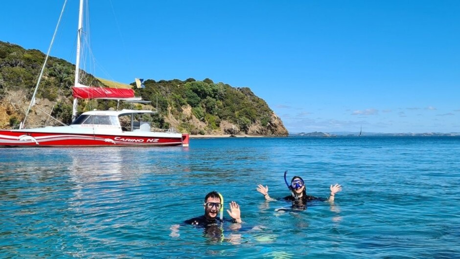Day cruise in the Bay of Islands - snorkel at the Island