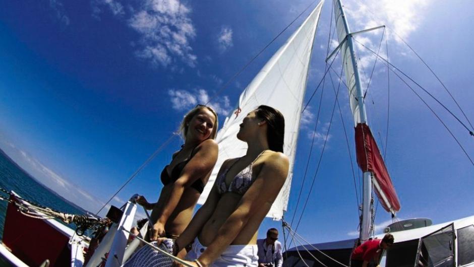 Sail the bay in a sustainable way with friends