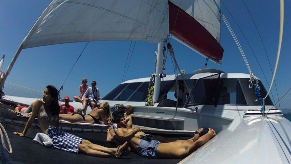 Relax and unwind in the Bay of Islands on our day sailing  tour