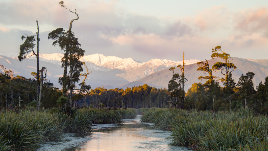 Enter Mahinapua's whitebait sanctuary and scenic reserve