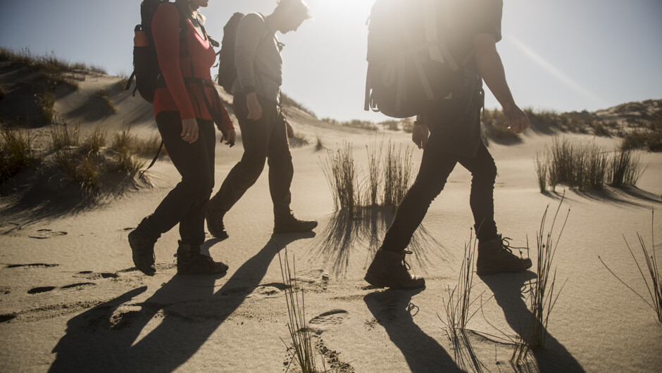 Take in the rugged and natural beauty of Martins Bay Sandspit