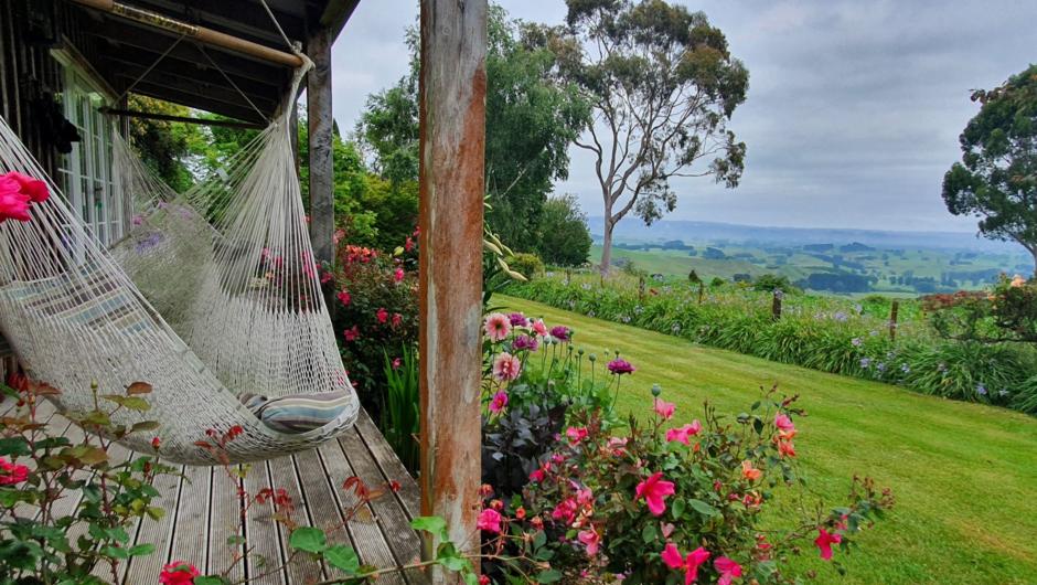Rose, hammocks and views from the veranda at Kamahi Cottage