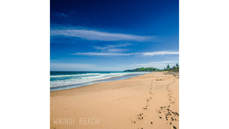 Beautiful Wainui Beach, a 5 min walk form our workshop.