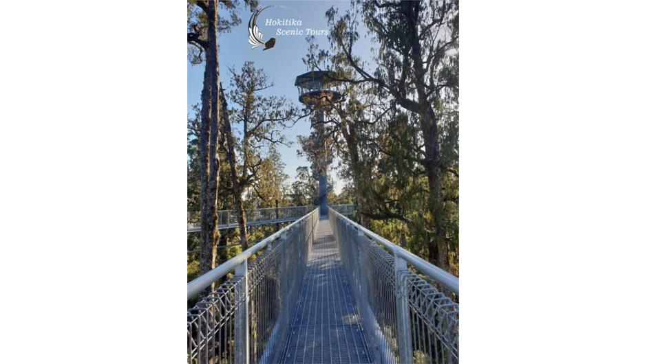 Let's join the birds high up in the native tree canopy of the West Coast Treetop Walkway. See from a birds eye view our native trees like kahikatea, rimu, totara, kamahi and giant ferns. Special views of the snowcapped Southern Alps, sacred Lake Mahinapua