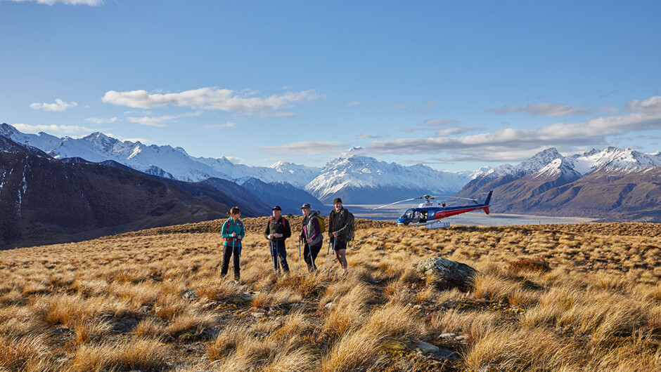 Fly up and land high in the tussock grasslands of Glentanner Station