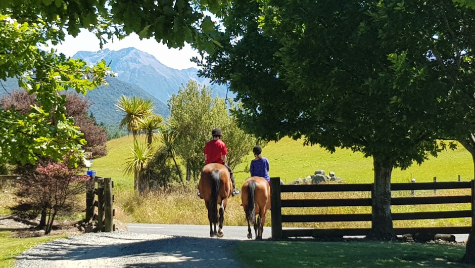 Onsite horse riding. Horse trek beside the Fiordland National Park