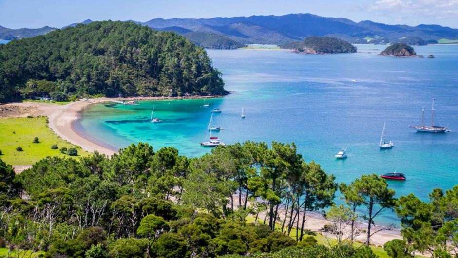 Discover the magic of the Bay of Islands on a Private Guided Tour.