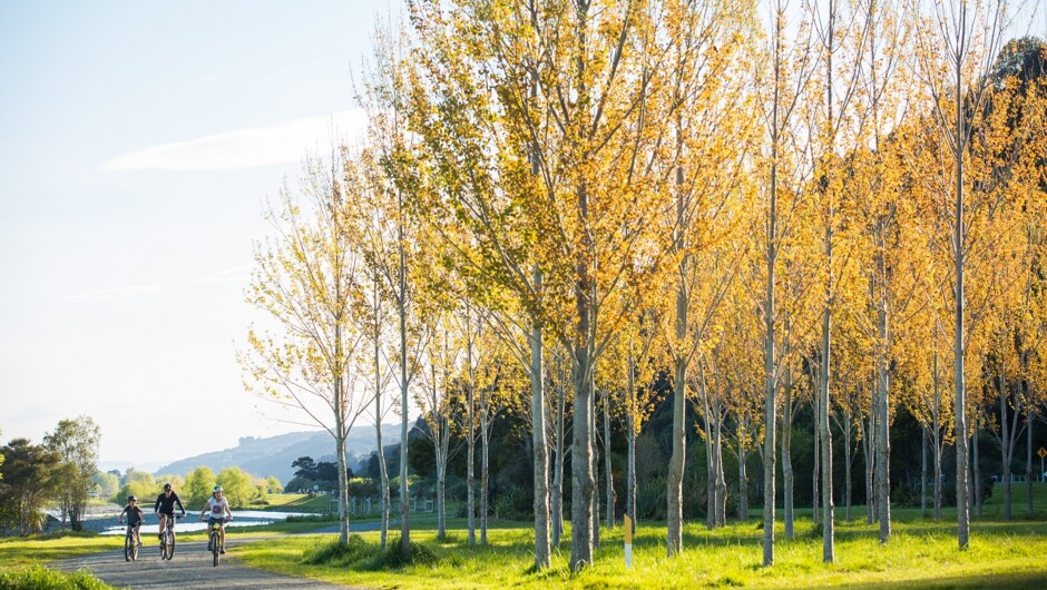 The Hutt River Trail