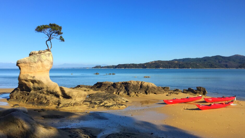 Kayak Abel Tasman