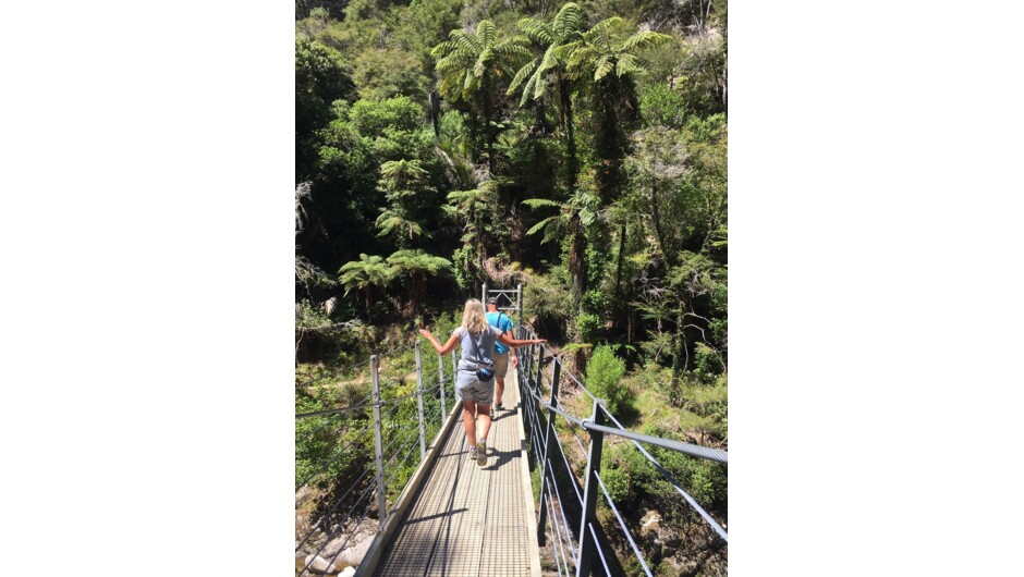 Wainui Falls Swing Bridge