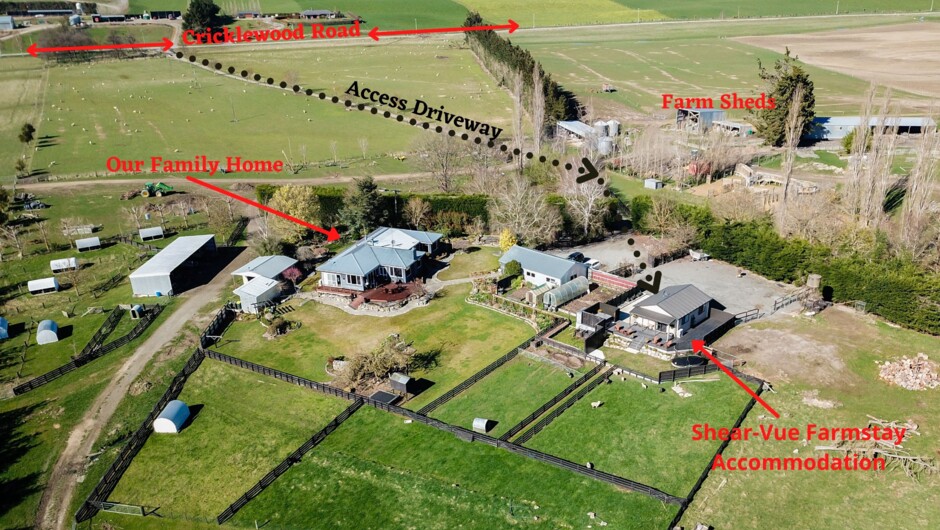 Shearvue Farmstay is a working sheep and beef farm, near Fairlie