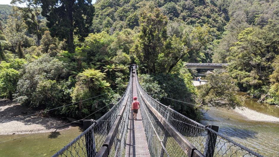 Take a bush walk through beautiful Kaitoke Regional Park
