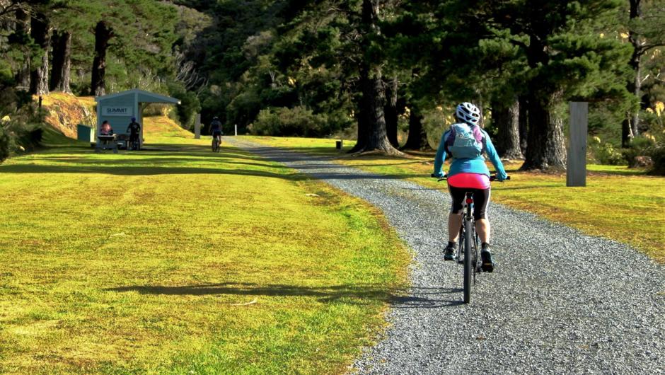 Cycling up to Summit, Remutaka Incline (Rail) Trail