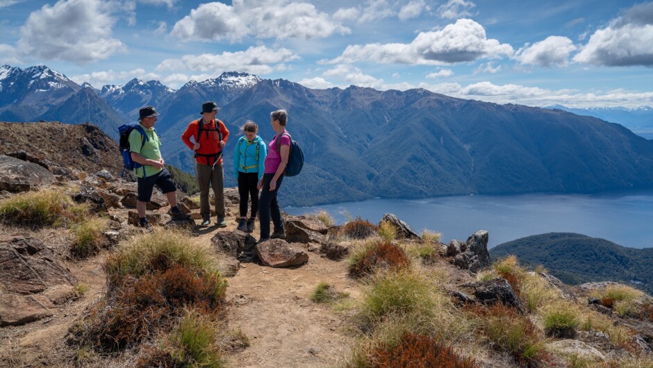 Hike to the summit of Mt Luxmore in the alpine tussock herb fields.
