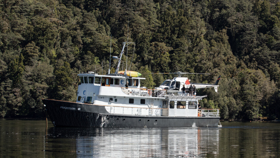 MV Flightless is your floating home away from home. 
She is a 27m ex Navy expedition vessel with international survey, extensive safety equipment, minimum of 3 crew, two tenders, fresh water-makers, diesel stove, ice maker, laundry facilities, ventilatio