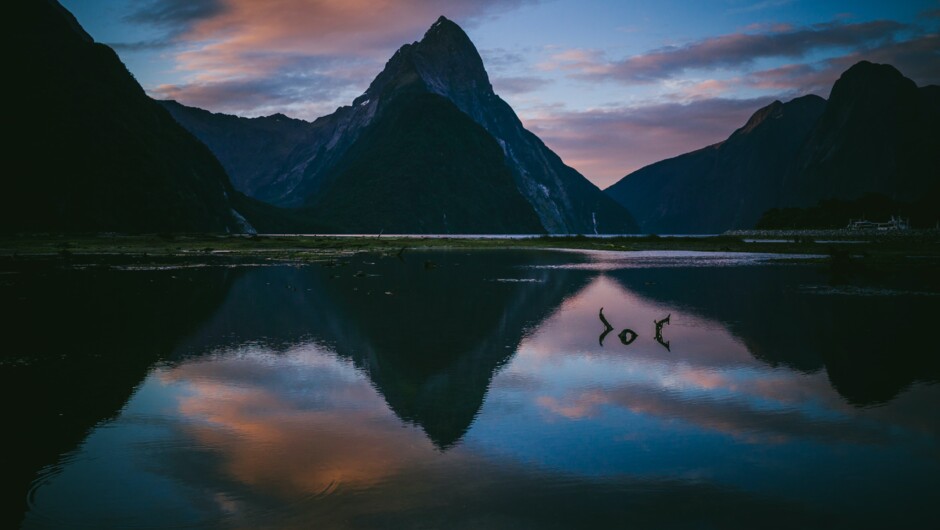 Tick the unofficial eighth wonder of the world off your bucket list right here in our backyard, with a cruise on Milford Sound.