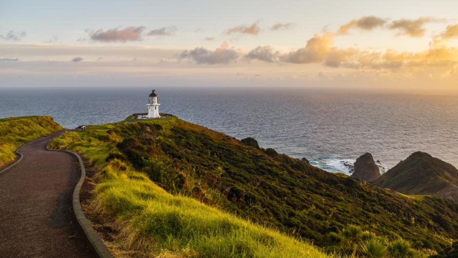 The winterless North is the perfect roadtrip destination no matter what the season. Let us work with you on your dream itinerary to visit golden beaches, historic Kauri trees and stunning coastline in Northland.