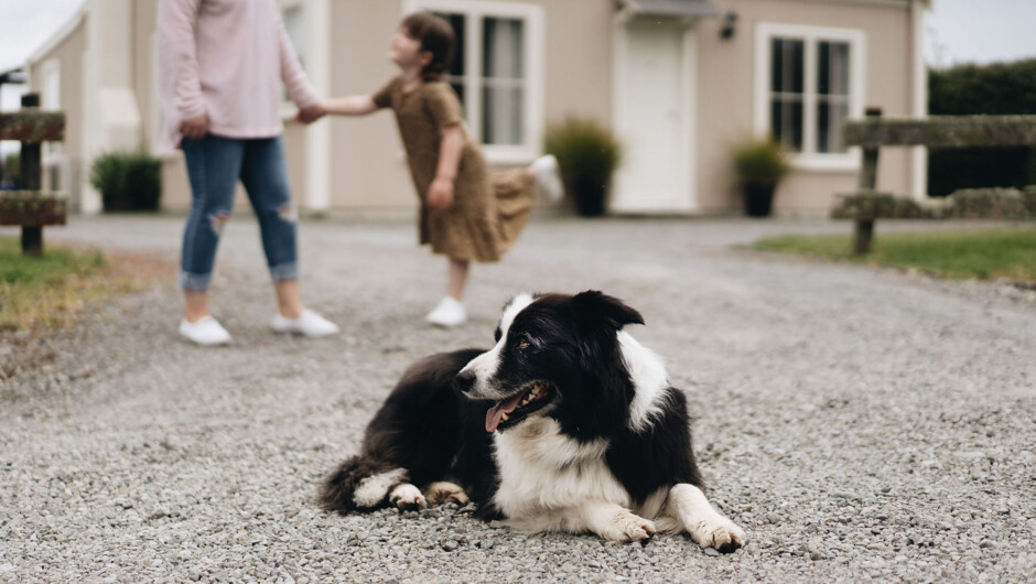 Dog Friendly 2 Bedroom Cottages