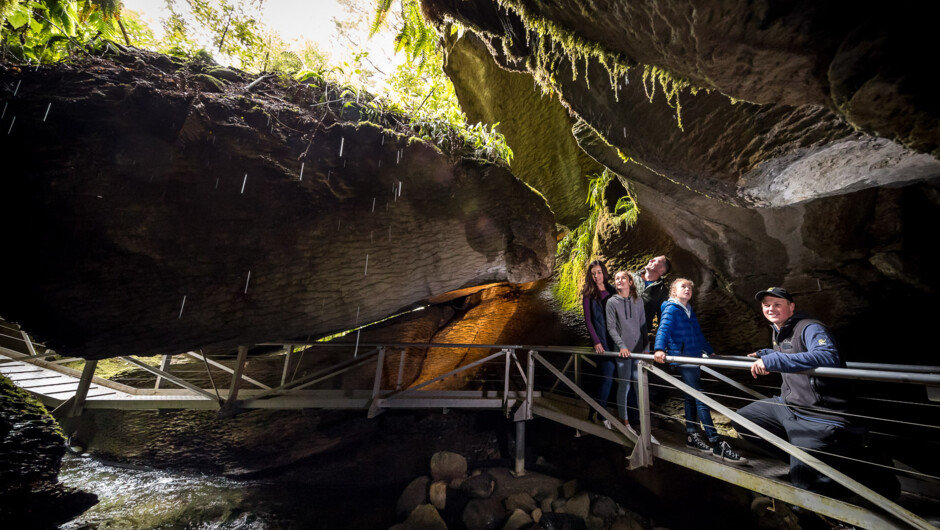 Te Anau Glowworm Caves - Guided Nature Tour