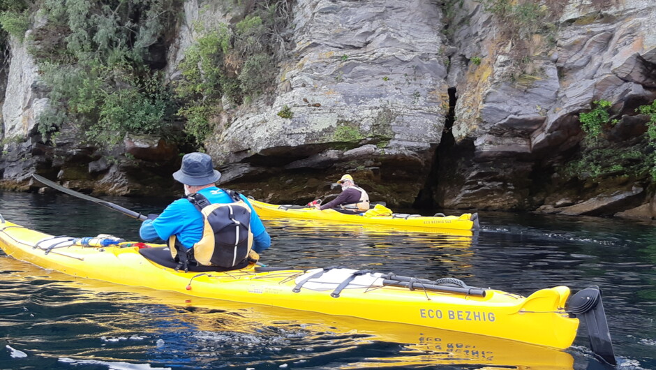 Kayak though the Western Bays - Boat Harbour to Kinloch with Taupo Kayaking Adventures
