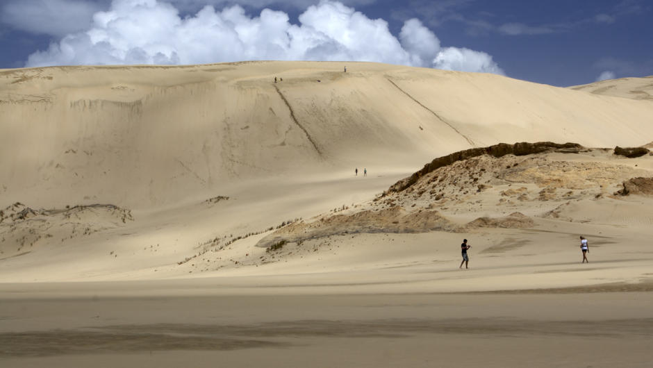 Te Paki Sand dunes