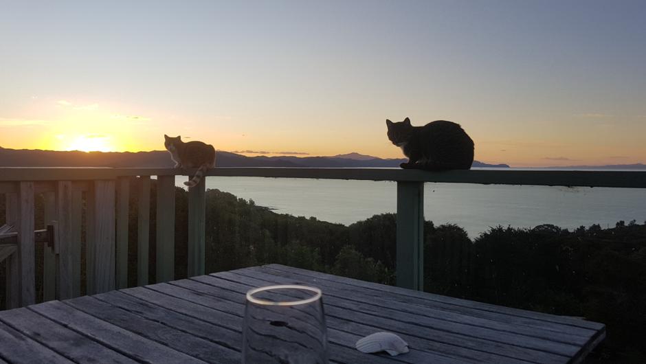 A great spot to watch the sunset below the Coromandel Ranges.