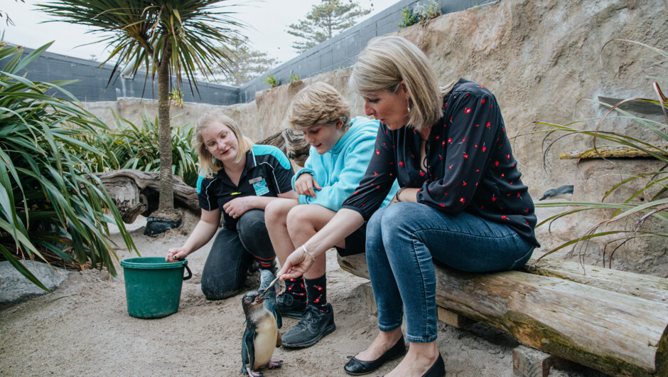 Book a Close Encounter with our world famous Little Penguins.