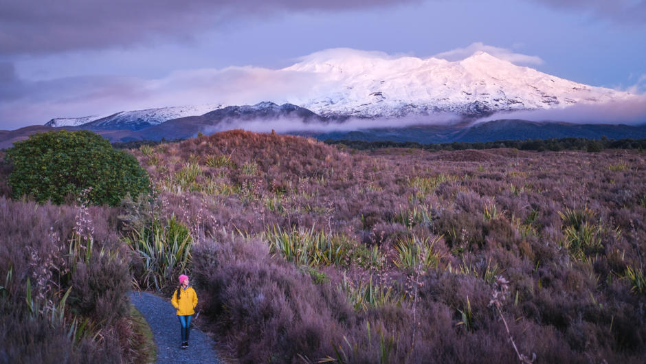 2 Hour Sunset guided walk with Adrift Tongariro NZ