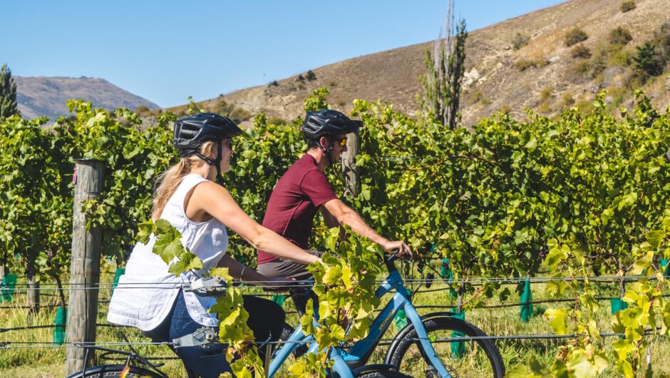 Grab an e-bike or hard tail from our Bike Centre and enjoy a ride through the heart of Queenstown's wine country.