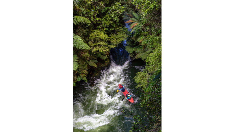 Peering down on a tandem kayak nestled amongst the beautiful rain forest of the Kaituna river.