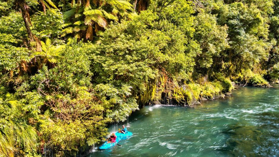 Stunning springs just pour off the walls on the Rangitaiki