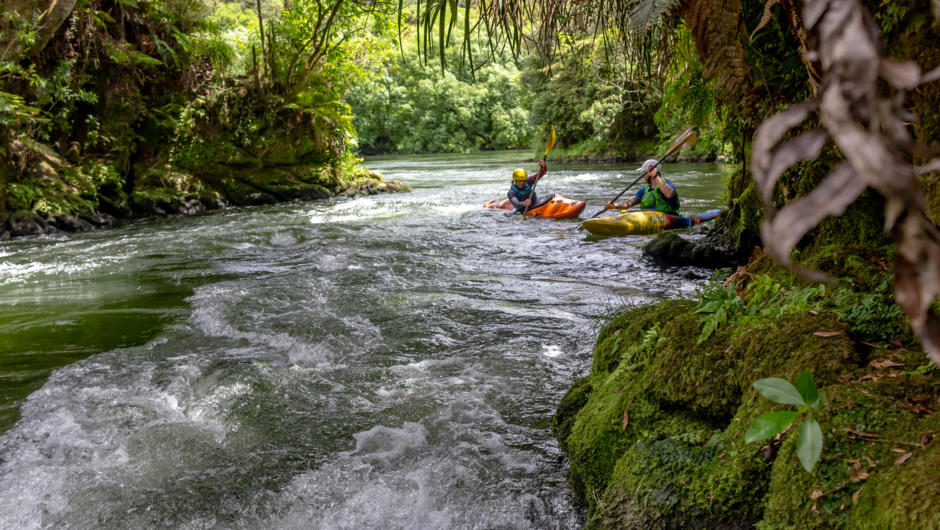An amazing spot to learn how to move amongst the whitewater, on the Kaituna River.