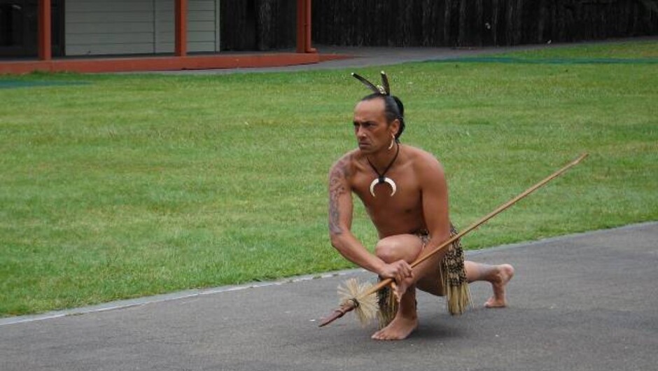 Te Puia - Maori warrior welcome to Marae.