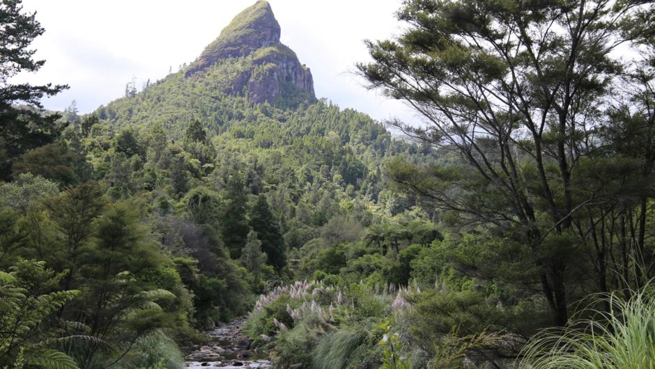Maratoto Rock, the backdrop from the Upper Maratoto Valley, bush and streams surround.