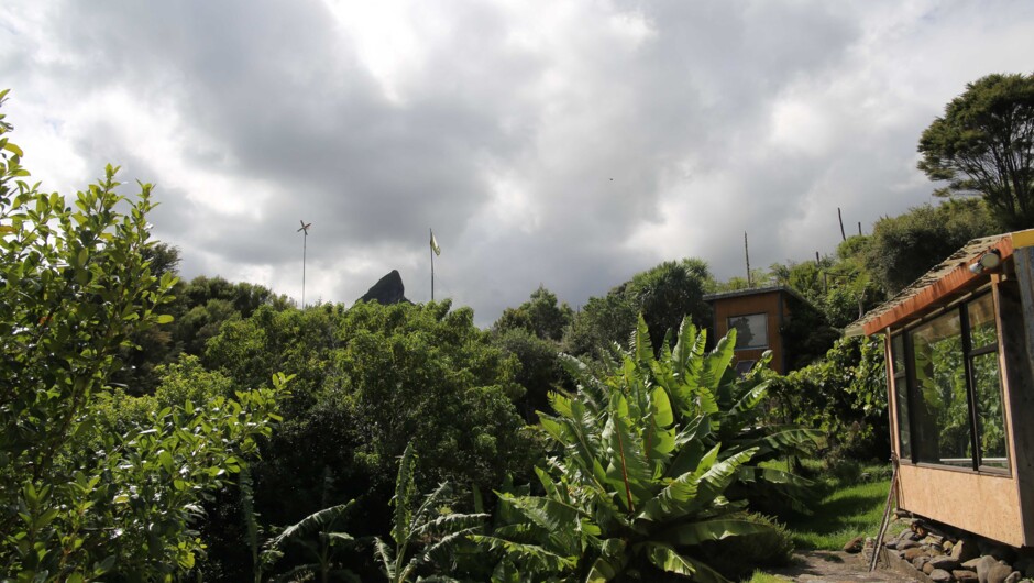 Organic fruit gardens surround the eco cottage.