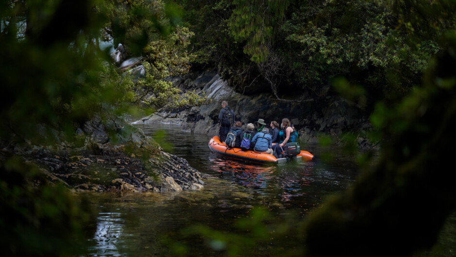 The rich history of Southern Fiordland will surprise you and gives you the perfect excuse to explore more.