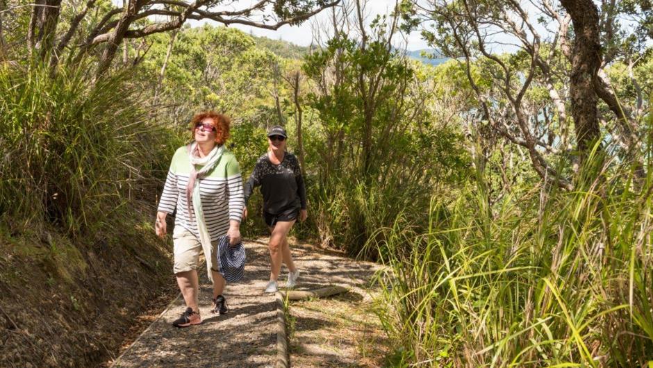 Explore the bush tracks on our wildlife sanctuary island visit with the Island Hopper Cruise. Endangered bird species have been re-introduced to the island, take a walk and see if you can spot New Zealand's rarest bird species.