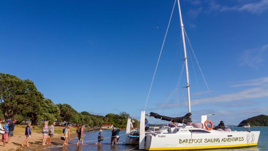 Join the boat at Paihia beach. Kick of your shoes and start the day with your feet in the sand.