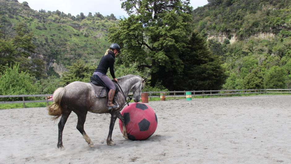At River Valley Stables we train our horses using natural horsemanship techniques.  On a full day horsemanship experience, or a Home on the Range holiday you can choose to spend some time in our dedicated arena, learning how we train the horses.