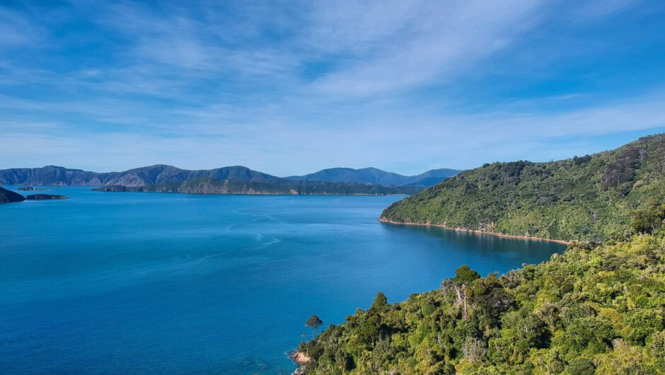 Queen Charlotte Sounds - Picton
