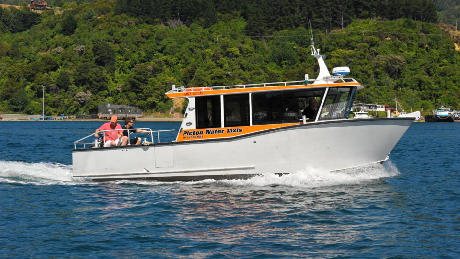 Beachcomber Cruises Private Paua Pearl Tour - Arawapa Island