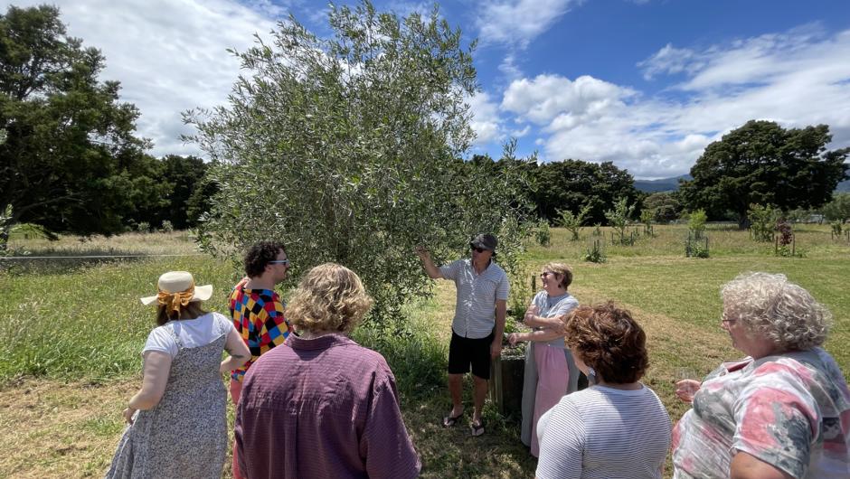 Olive Grove tour with Owner Brent Meldrum, Totara Tunnel Olives, Te Horo.