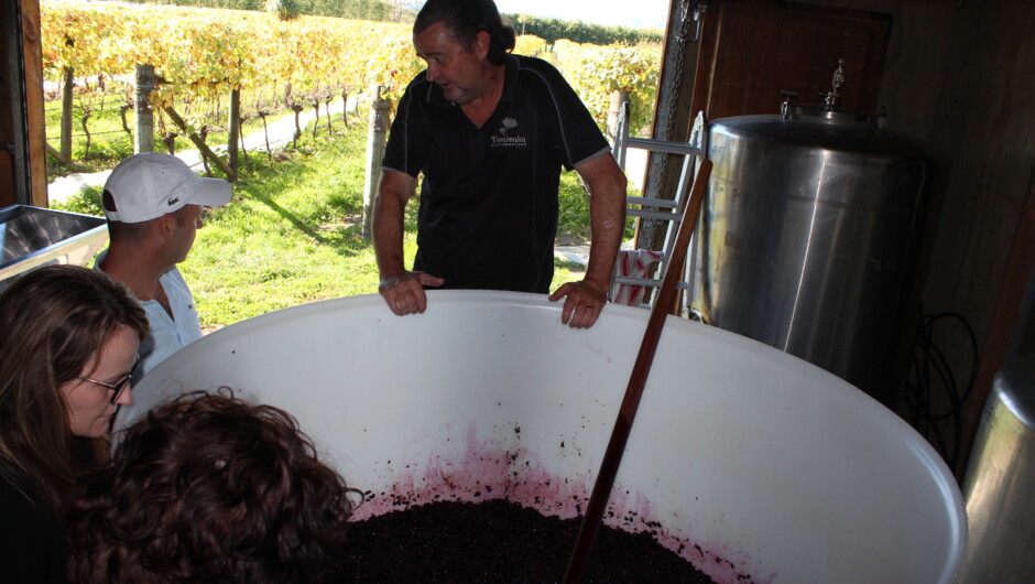 Checking out the freshly picked Merlot grapes at Tiwaiwaka Wines Martinborough with Owner/Winemaker Morton Anderson.