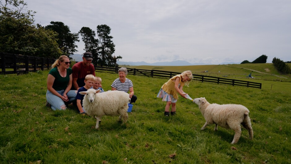 Enjoy a free 1 hour guided farm experience as part of your stay
